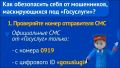 ���� ���������� �������� � ������: ������ ����� ������ � ��� �����