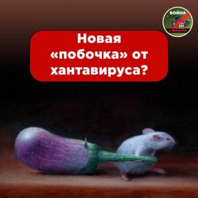 ������ ��, ��� ���������� ����� �������� �� ������ ������ ����������� �������? ������������ � ����� ���������