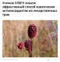 В СПбГУ нашли более экологичный способ извлечения антиоксидантов из растений