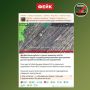 ����: ���������� �������������� �� ������� ��������� �������� ������ ���� ������ ���������� �������