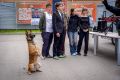 В Санкт-Петербурге в отдельном батальоне охраны и обеспечения Северо-Западного округа Росгвардии для петербургских школьников прошел день открытых дверей