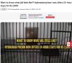 Тюрьма по заказу: Российским чиновникам стоит перенять индийский тренд