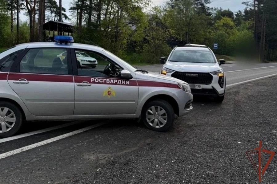 В Санкт-Петербурге сотрудники вневедомственной охраны Росгвардии помогли женщине, пострадавшей в результате ДТП