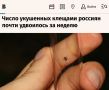 «Число укушенных клещами россиян почти удвоилось за неделю»: Более 84 тыс россиян обратились к врачам после укусов клещей
