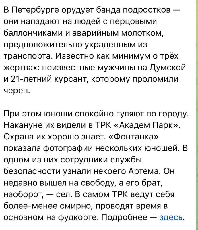 Екатерина Мизулина: Сегодня многие подписчики присылают публикации из СМИ и пабликов по поводу агрессивной банды подростков из Санкт-Петербурга, которая нападает на прохожих с перцовыми баллончиками и аварийным молотком