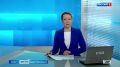 На улице Оптиков водители заметили лису