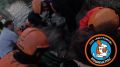 «Без труда не выловишь и лося из пруда»: специалисты «Кошкиспас» помогли высвободить раненого сохатого из пруда в Мартыновском сквере