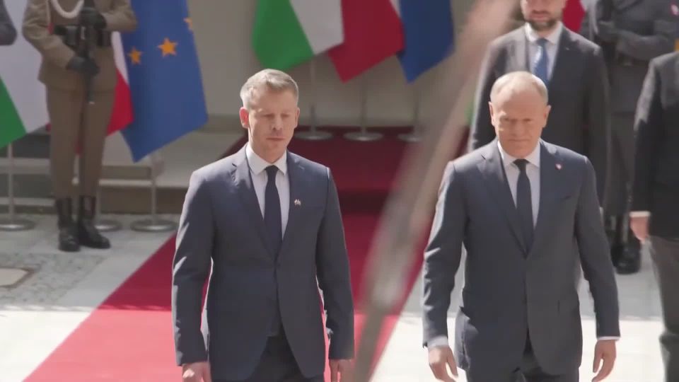 Премьер-министр Венгрии Петер Мадьяр заблудился на красной дорожке во время первого официального визита в Польшу