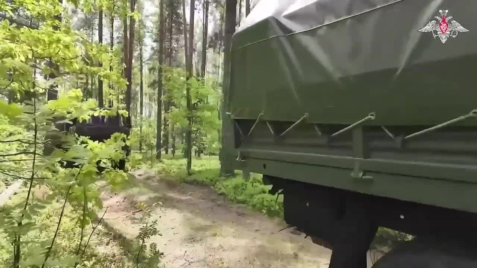 Юлия Витязева: Вчера в одном из дружественных чатов случилась весьма показательная дискуссия, переросшая в спор