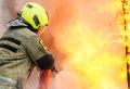 На конюшне в Петродворцовом районе произошел пожар