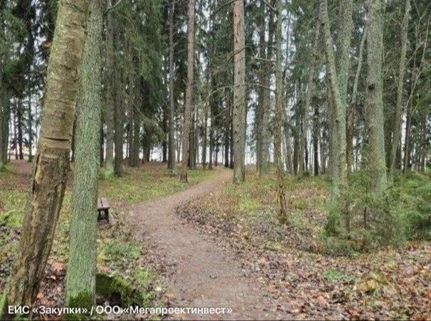 В Репино благоустроят сквер недалеко от пляжа «Чудный» В Репино благоустроят сквер недалеко от пляжа «Чудный»