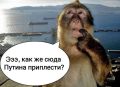 "��������� ������� ������ ��������, ������� ����������: ����� ����� ������� ������� � ��� ���� � ������ ��������������� �����", � �������� �� ���������������: "��� �������� �����������, ����������� �������� ����� �������...