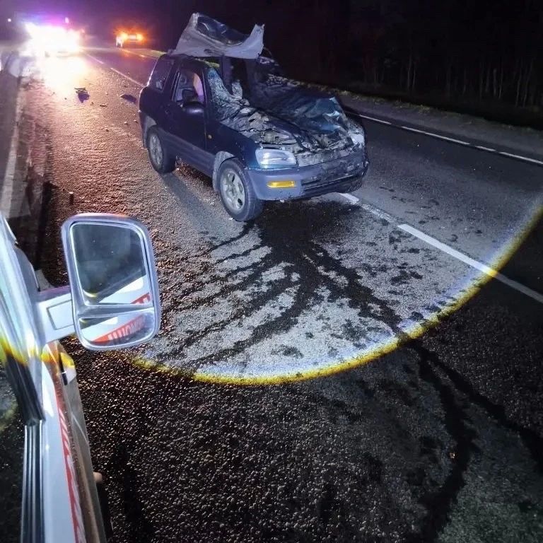 Женщина-водитель пострадала в аварии с лосем в деревни Куты