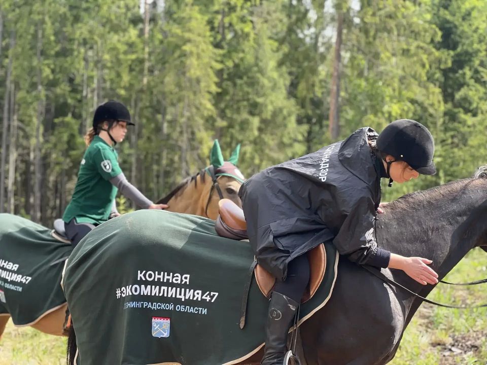 Всадники будут патрулировать Гатчинский округ