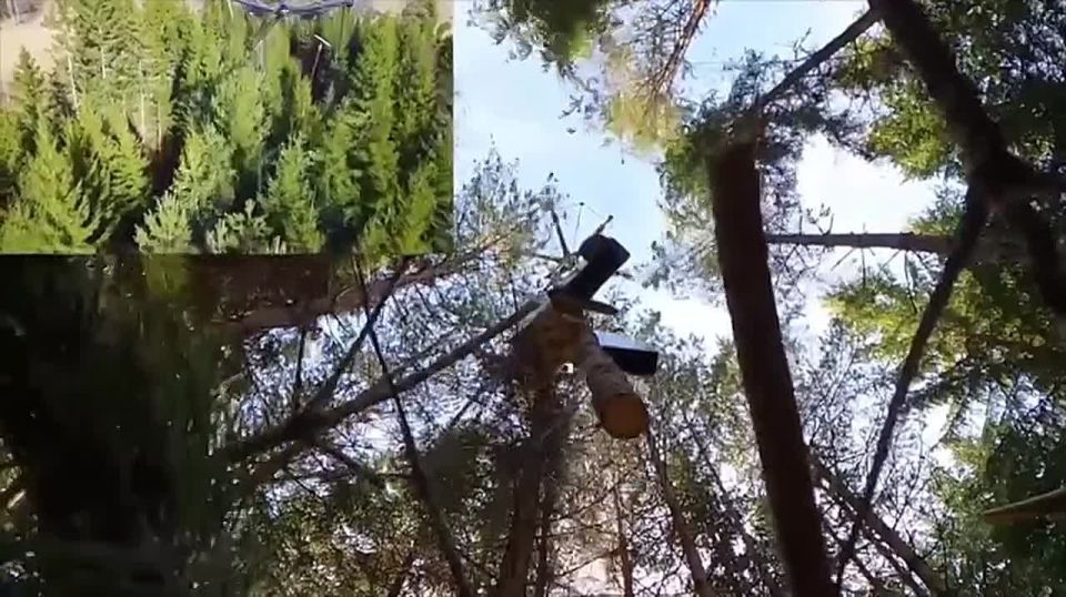 Шведские дроны научились «воровать» деревья