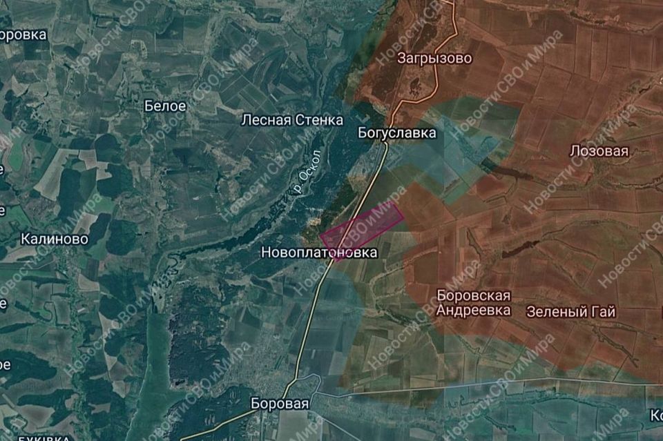 1. Наши бойцы освободили нп. Василевка 1. Наши бойцы освободили нп. Василевка