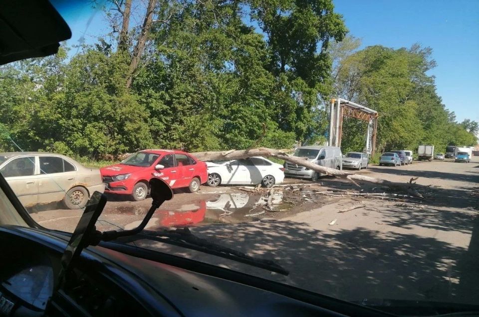 Ветер бушует в Петербурге второй день Ветер бушует в Петербурге второй день