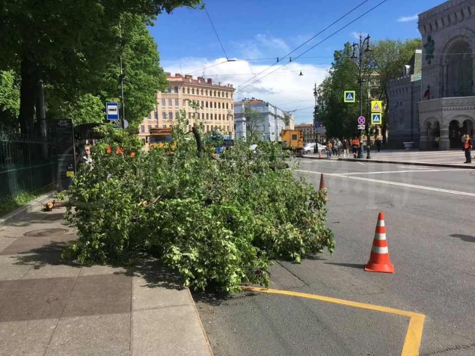 Ветер бушует в Петербурге второй день Ветер бушует в Петербурге второй день