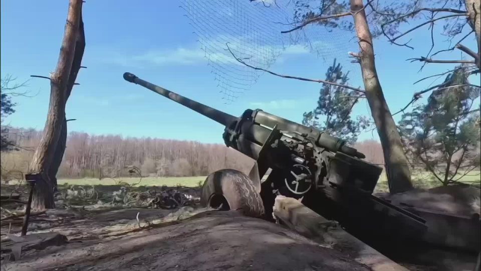 Александр Коц: Российская армия освободила Рясное и Запселье