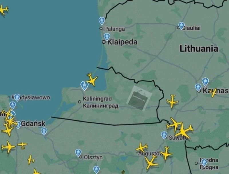 «Ковёр» докатился и до Калининграда