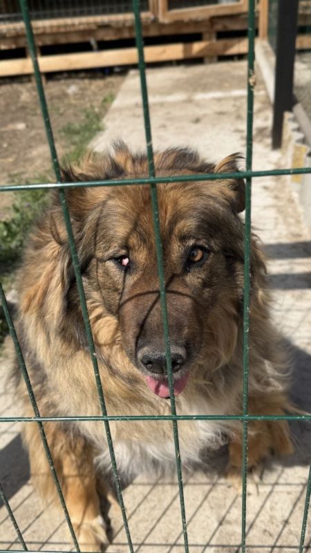 Юрий Баранчик: Еды Нет!. С приходом тепла выживать стало труднее Юрий Баранчик: Еды Нет!. С приходом тепла выживать стало труднее
