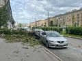 Деревопад находит новых жертв – теперь автомобили на Наличной