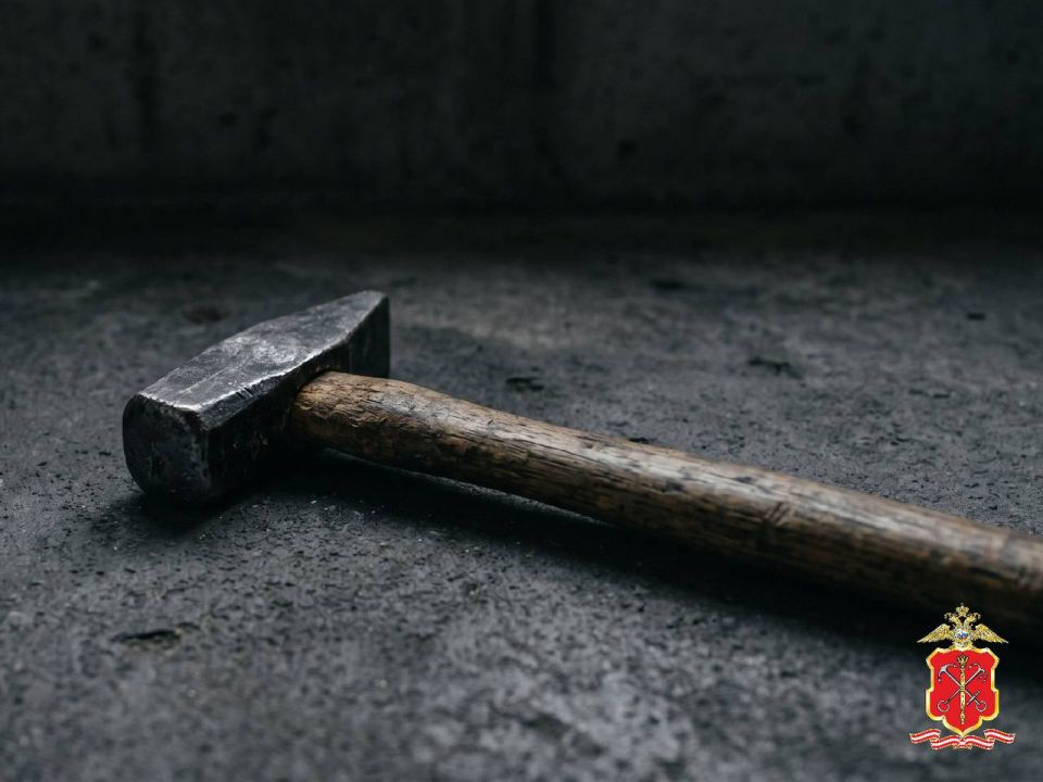 В Гатчине полицейские задержали местного жителя, применившего молоток в конфликте с женщиной