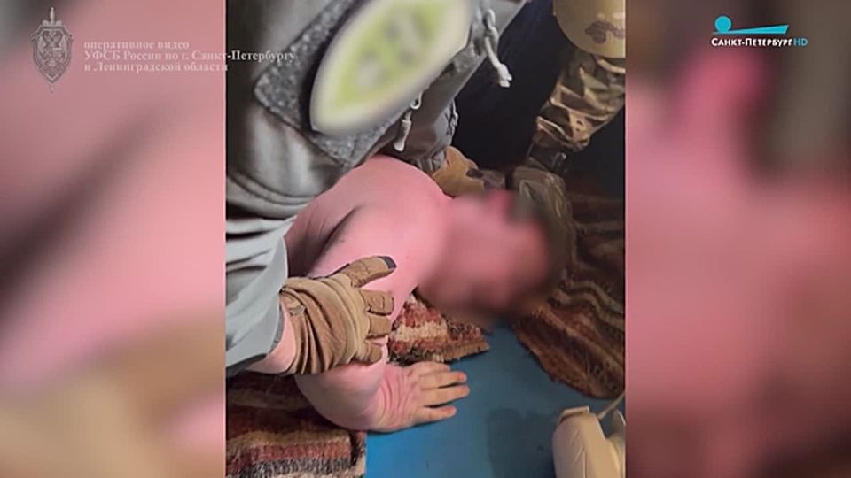 ФСБ сообщила о задержании подозреваемого в оправдании экстремизма и терроризма в интернете