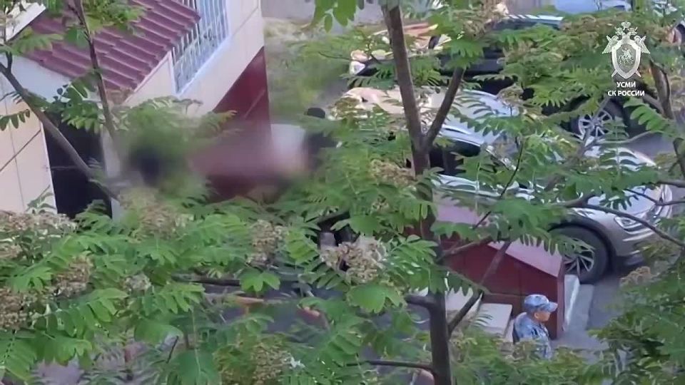 Александр Коц: Задержан очередной мамкин диверсант