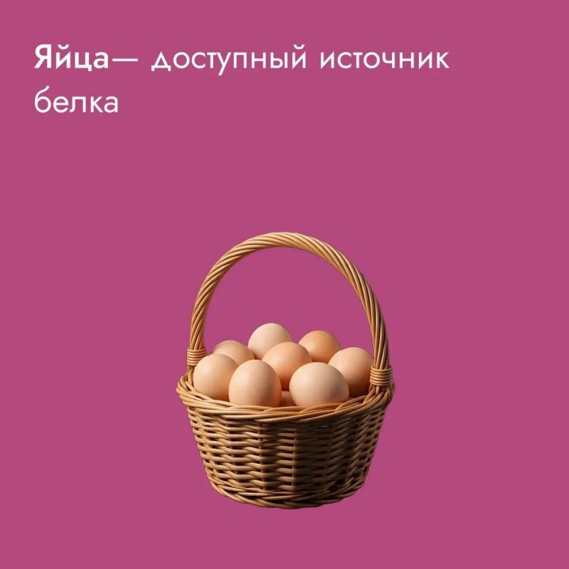 Отделим желтки от белков, а мифы от истины: полезно или вредно для организма есть яйца? В них больше холестерина или белка? Терапевт раскрыла всю правду о яйцах