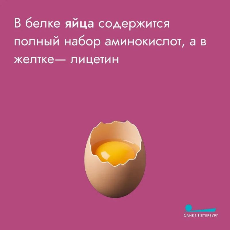 Отделим желтки от белков, а мифы от истины: полезно или вредно для организма есть яйца? В них больше холестерина или белка? Терапевт раскрыла всю правду о яйцах Отделим желтки от белков, а мифы от истины: полезно или вредно для организма есть яйца? В них больше холестерина или белка? Терапевт раскрыла всю правду о яйцах