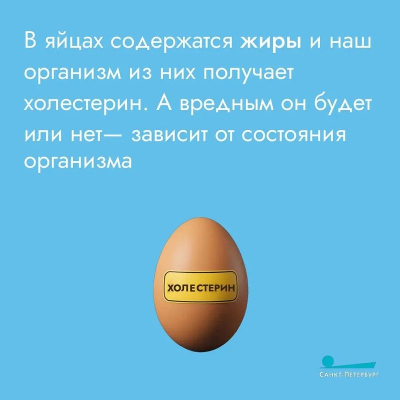 Отделим желтки от белков, а мифы от истины: полезно или вредно для организма есть яйца? В них больше холестерина или белка? Терапевт раскрыла всю правду о яйцах Отделим желтки от белков, а мифы от истины: полезно или вредно для организма есть яйца? В них больше холестерина или белка? Терапевт раскрыла всю правду о яйцах