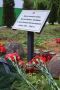 В Выборгском районе предали земле останки 34 красноармейцев
