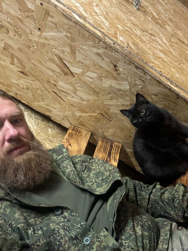 Александр Малькевич: Боня здорового человека). Начинаю делиться небольшими историями своей службы (и окружающей меня действительности)