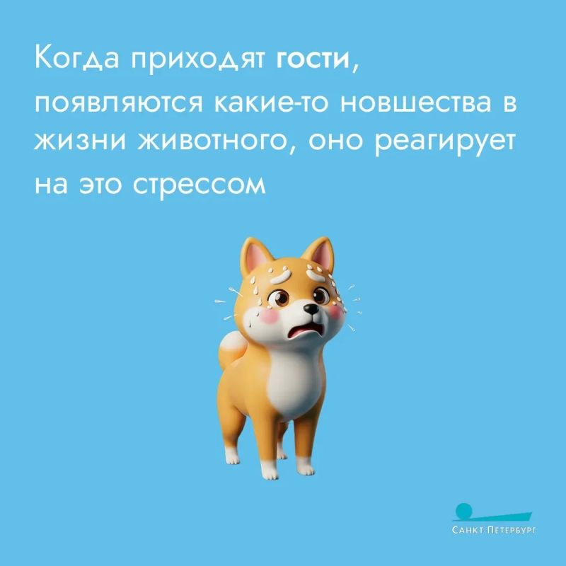 Путешествия – всегда легкий стресс: собрать вещи, не забыть паспорт, не опоздать в аэропорт или на вокзал Путешествия – всегда легкий стресс: собрать вещи, не забыть паспорт, не опоздать в аэропорт или на вокзал