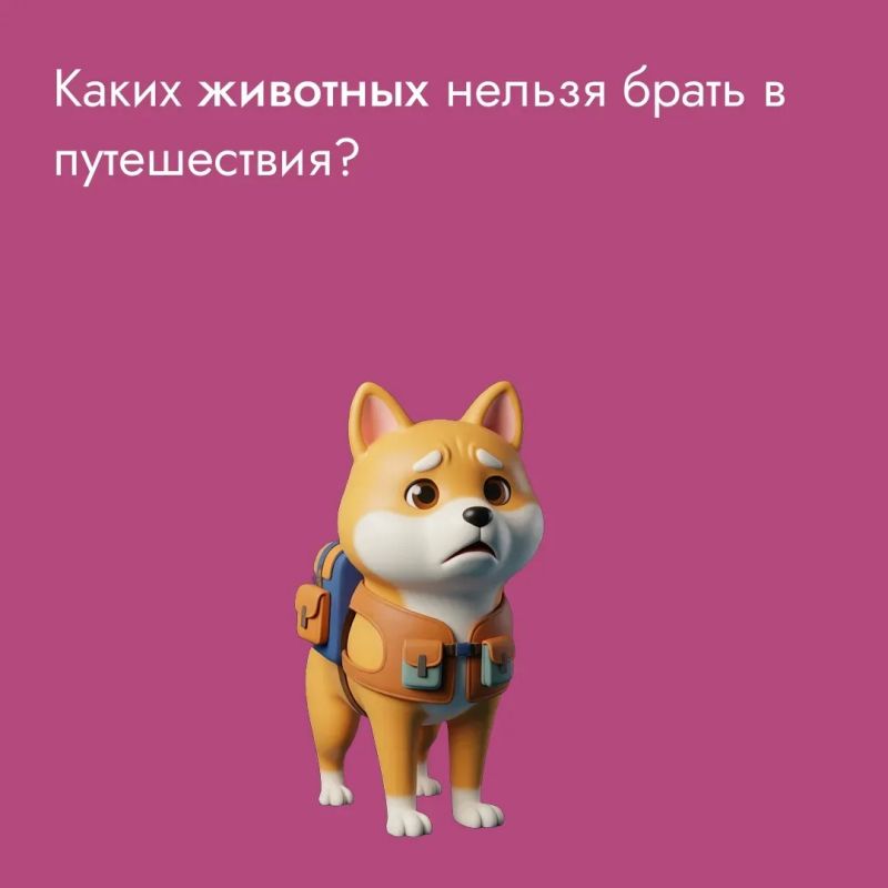 Путешествия – всегда легкий стресс: собрать вещи, не забыть паспорт, не опоздать в аэропорт или на вокзал
