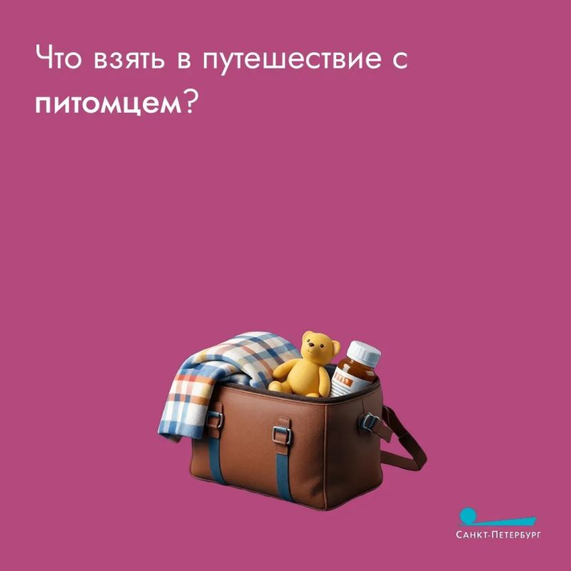 Путешествия – всегда легкий стресс: собрать вещи, не забыть паспорт, не опоздать в аэропорт или на вокзал Путешествия – всегда легкий стресс: собрать вещи, не забыть паспорт, не опоздать в аэропорт или на вокзал
