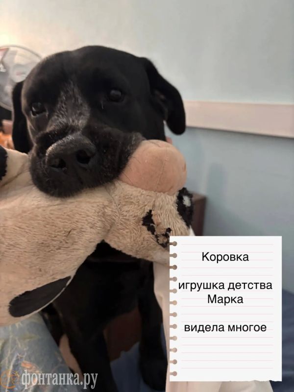 Ко Дню защиты детей мы решили вспомнить про самые любимые игрушки