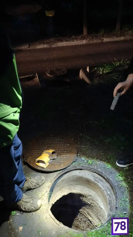 Волонтеры вернули к жизни утонувшего в ливнёвке котёнка Волонтеры вернули к жизни утонувшего в ливнёвке котёнка