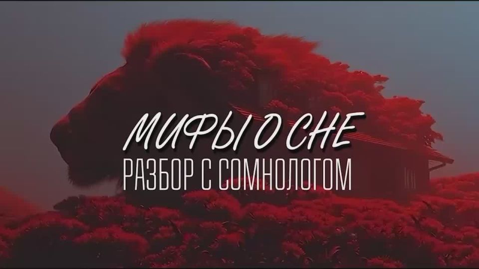 Сон в Петербурге отменили: местные всё чаще жалуются на сбитый в прах режим