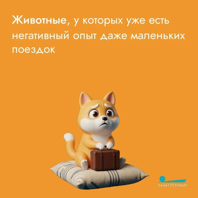 Путешествия – всегда легкий стресс: собрать вещи, не забыть паспорт, не опоздать в аэропорт или на вокзал Путешествия – всегда легкий стресс: собрать вещи, не забыть паспорт, не опоздать в аэропорт или на вокзал