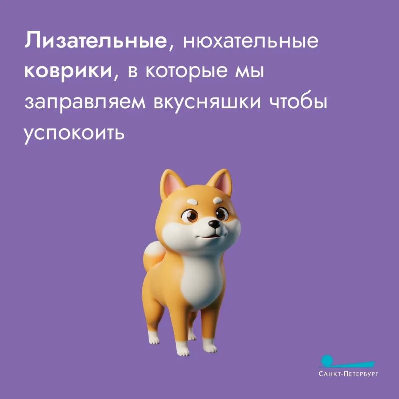 Путешествия – всегда легкий стресс: собрать вещи, не забыть паспорт, не опоздать в аэропорт или на вокзал Путешествия – всегда легкий стресс: собрать вещи, не забыть паспорт, не опоздать в аэропорт или на вокзал