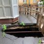������ � ���������� ������� ������ ����������� �� ����� ���� �� �������
