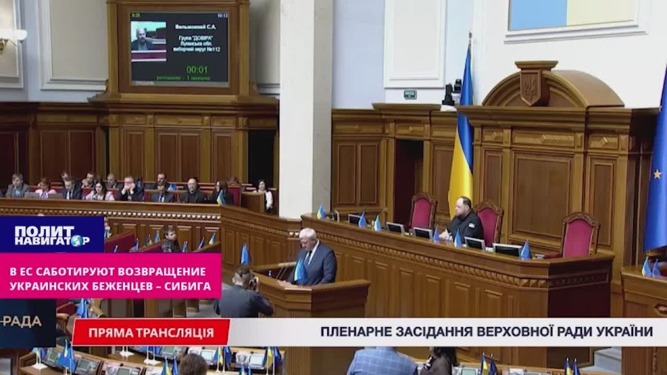 «Становится уже проблемой безопасности»: МИД Украины жалуется, что ЕС высосал трудоспособное население