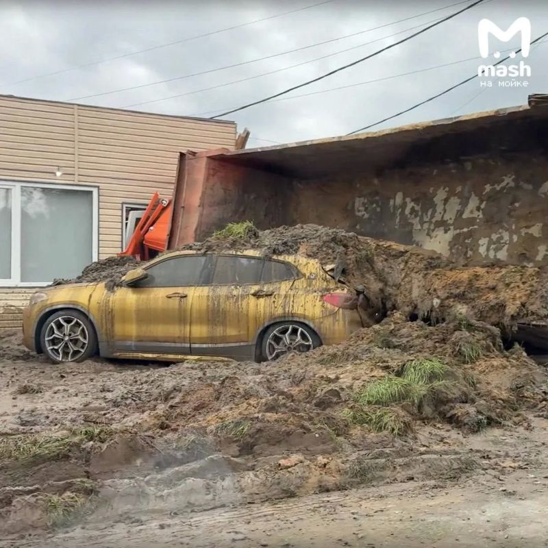 BMW в полном дерьме — вонючий арт на золотой малышке появился в Ленобласти BMW в полном дерьме — вонючий арт на золотой малышке появился в Ленобласти