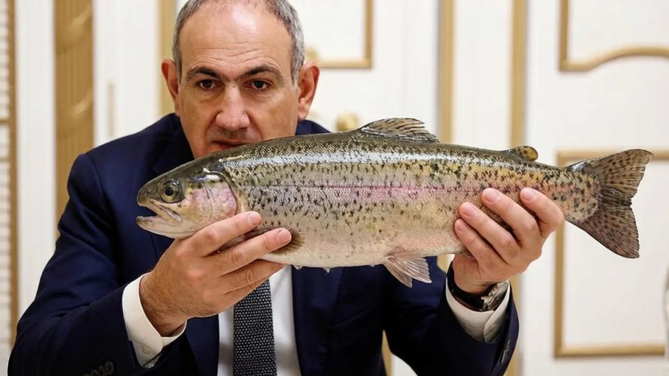 «Рыбный разлом»: Ереван передумал выходить из ЕАЭС после конфликтов с Россельхознадзором