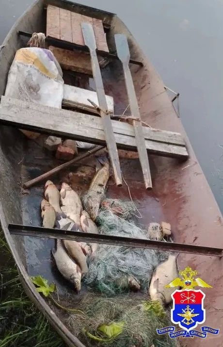 Сотрудниками транспортной полиции пресечены факты незаконной добычи водных биоресурсов в акватории реки Оять на территории Ленинградской области