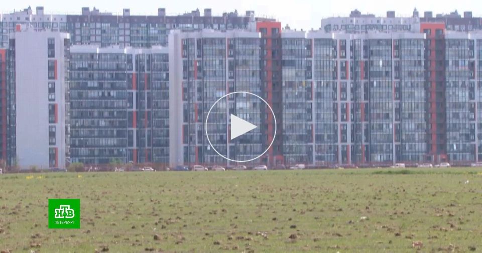 Жизнь в одном из ближайших к Петербургу городов Ленобласти нельзя назвать комфортной