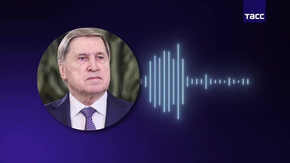 Президенты Узбекистана, Танзании, Абхазии, заместитель председателя КНР примут участие в Петербургском международном экономическом форуме (ПМЭФ)