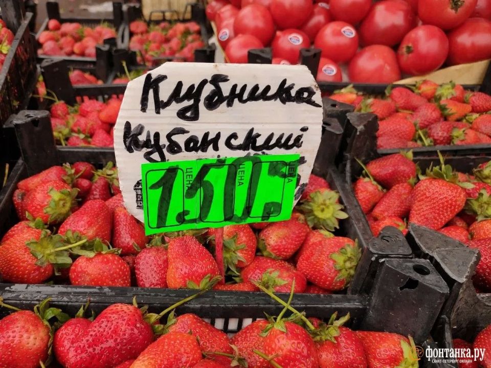 Клубника в Петербурге стоит то 150 рублей, то 1500 рублей